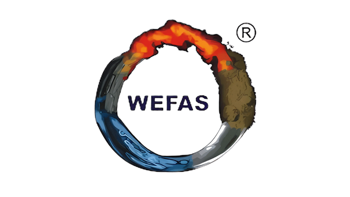 Wefas Imports Logo